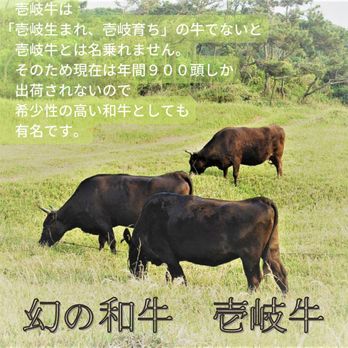 黒毛和牛 長崎和牛 壱岐牛 肩ロース 6.5kg 【ブロック】 贈答 贈り物 ギフト 人気 通販 プレゼント ステーキ すき焼き すきやき 肉屋 焼肉 九州 ランキング 旨い 実家 ふるさと いき牛 業務用